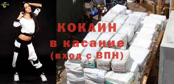 хмурый Алексин