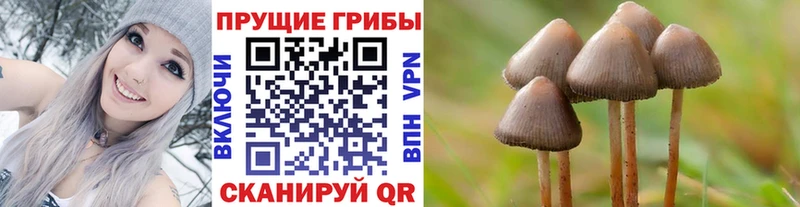Галлюциногенные грибы GOLDEN TEACHER  Черемхово 
