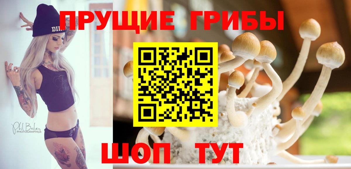 Черемхово  Псилоцибиновые грибы MAGIC MUSHROOMS  Вход с VPN 