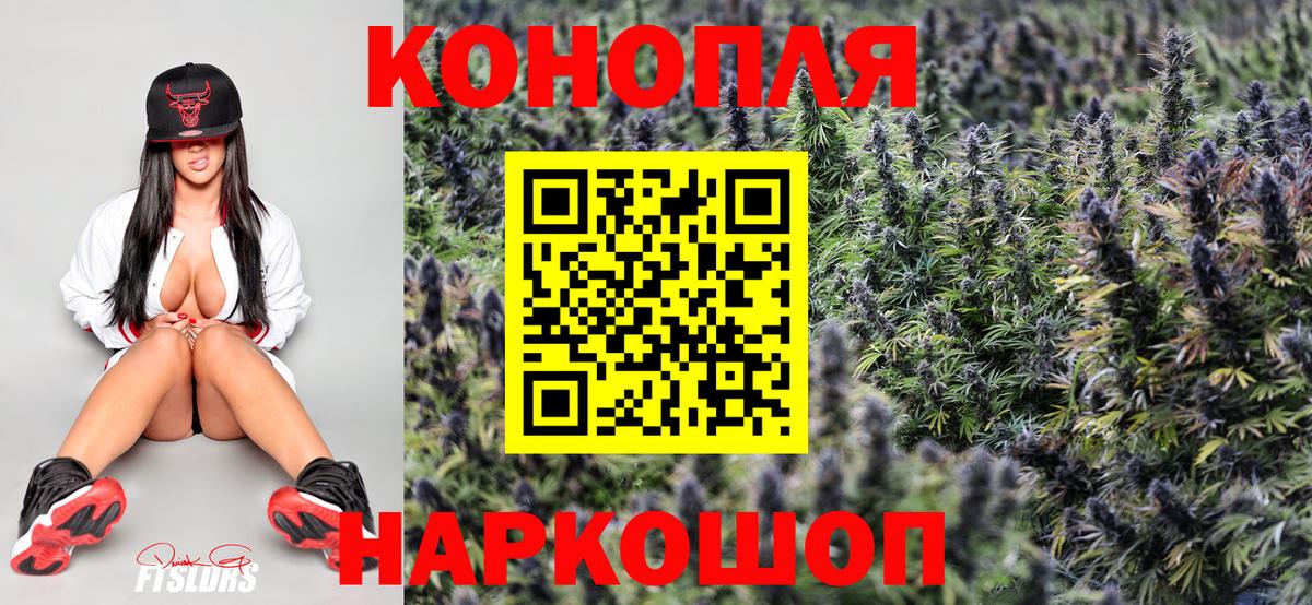 Каннабис планчик  Шишки марихуана семена  Вход с VPN  Черемхово 